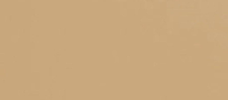 U250 ST9 Honey Sand